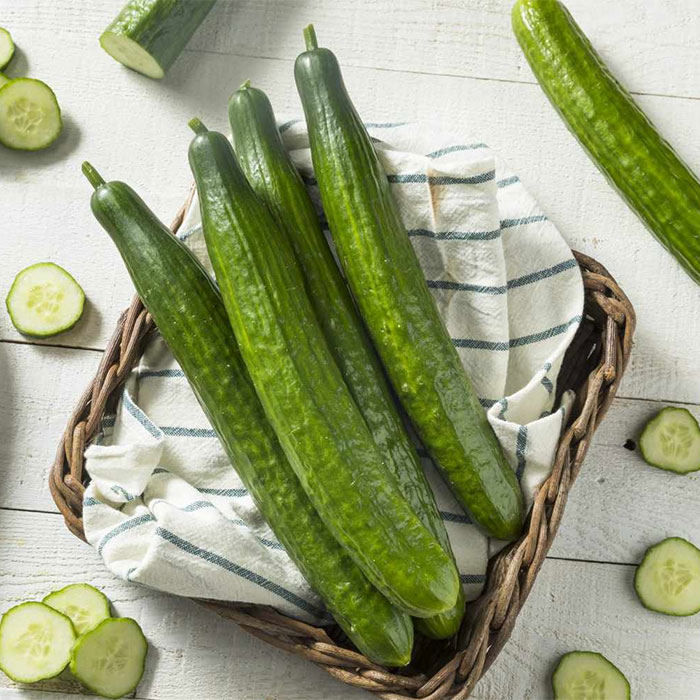 Cucumber