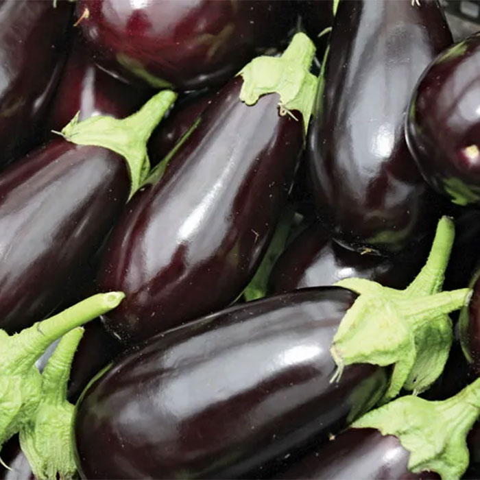 Eggplant