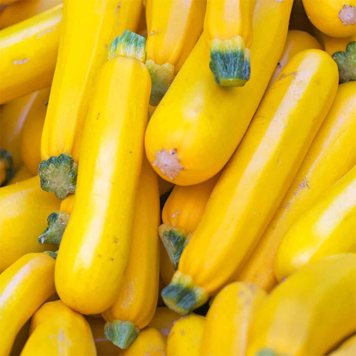 Yellow Eggplant